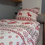 Appartement 2 Alpes Style Au Pied De Telesiege Du Diable Les Deux Alpes